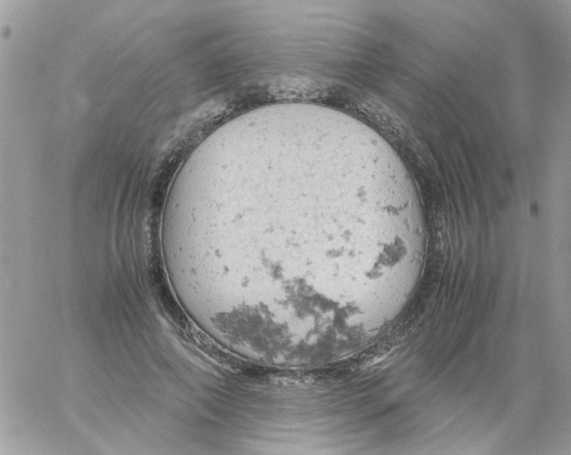 X0000061740690200512302212