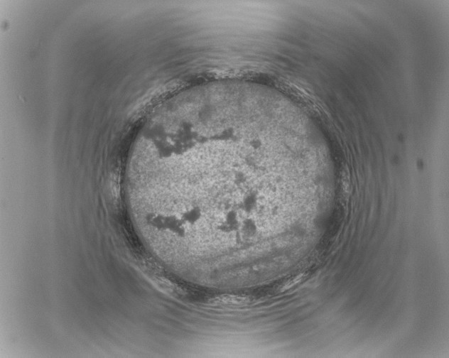 X0000061740691200512302212