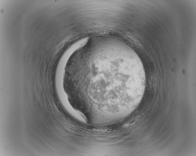 X0000061740693200512302212