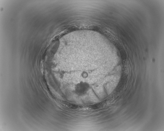 X0000061740695200512302212