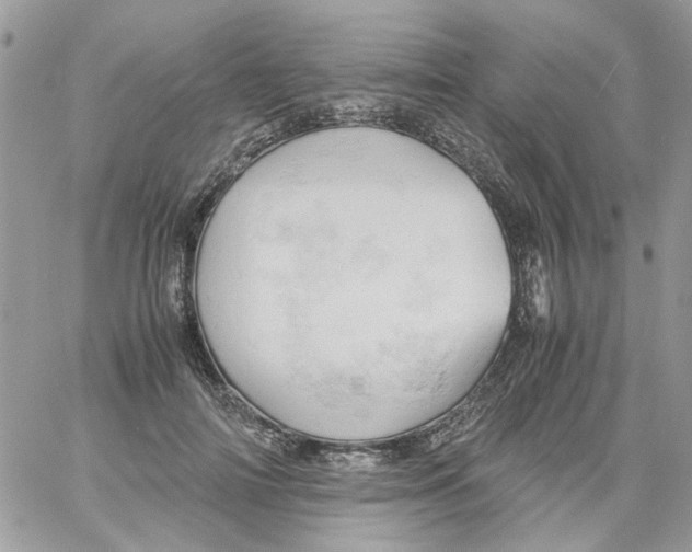 X0000061740698200512302212