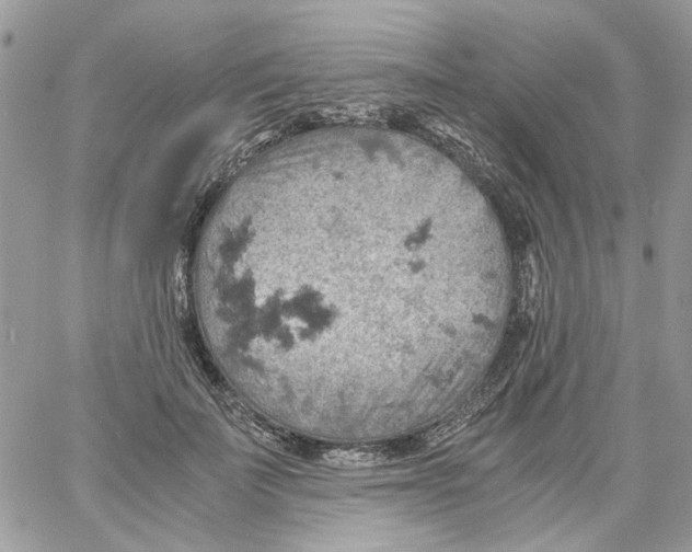 X0000061740699200512302212