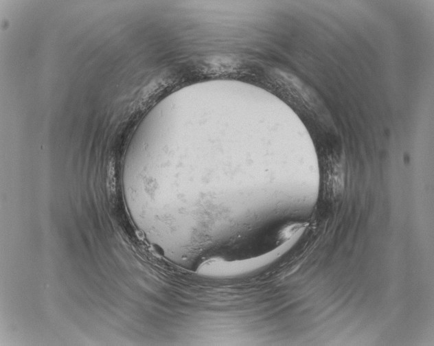 X0000061740700200512302212