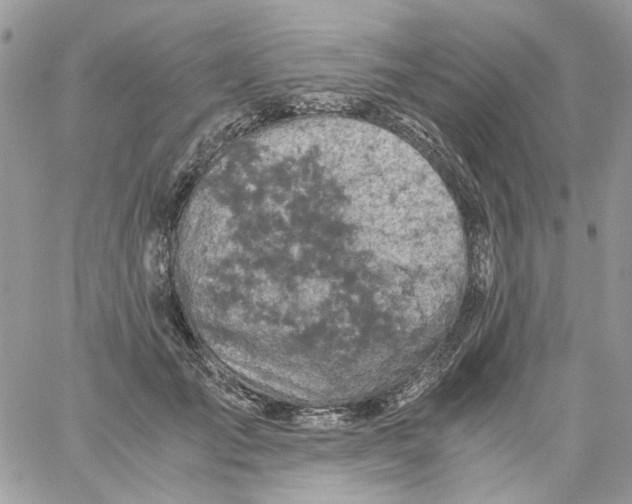 X0000061740701200512302212