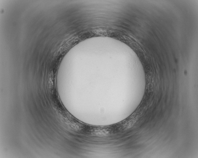 X0000061740702200512302212