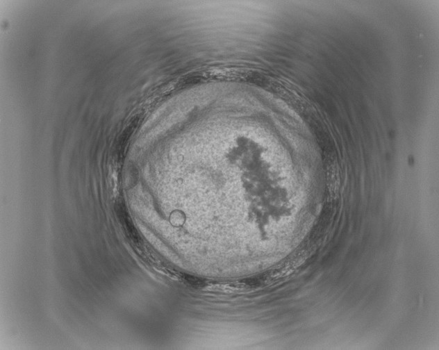 X0000061740703200512302212