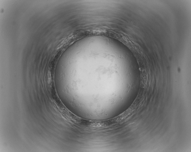 X0000061740704200512302212