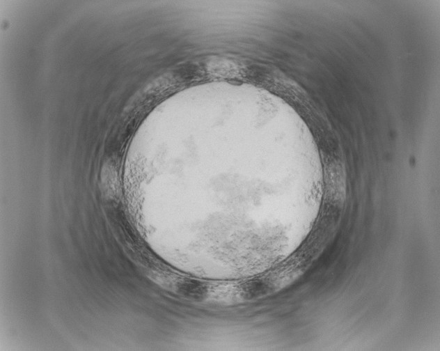 X0000061740705200512302212