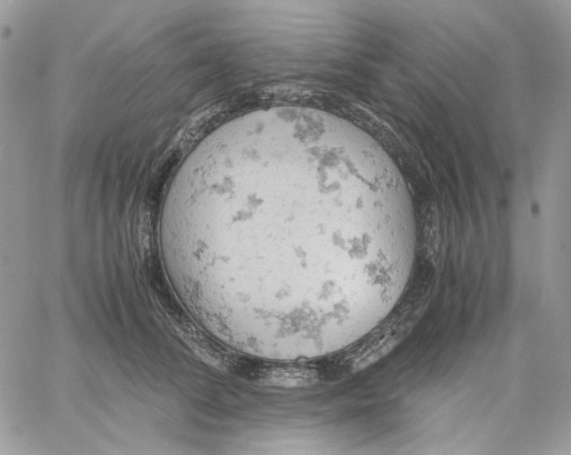 X0000061740708200512302212