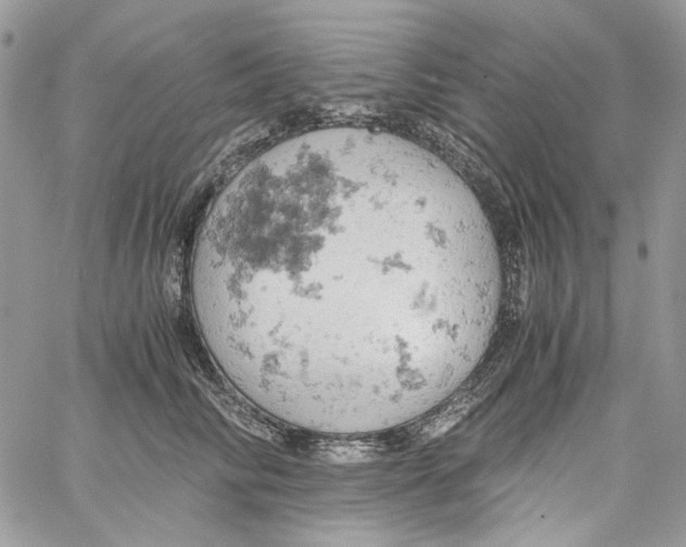 X0000061740710200512302212