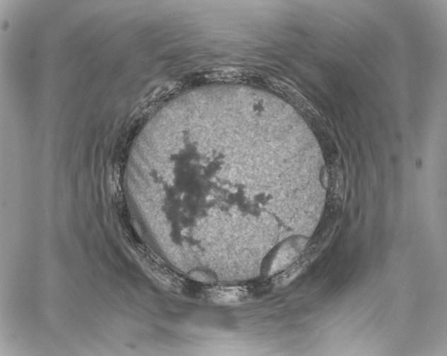 X0000061740711200512302212