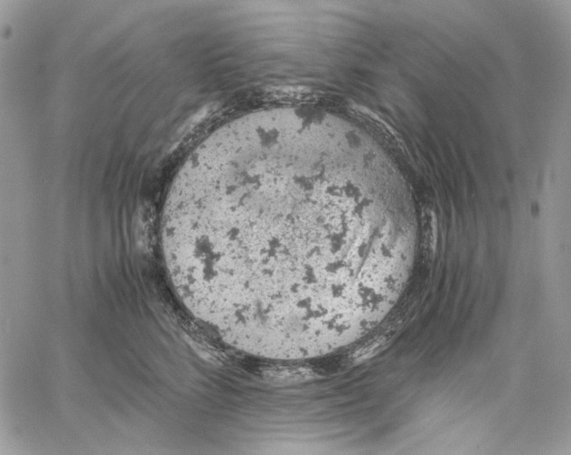 X0000061740712200512302212