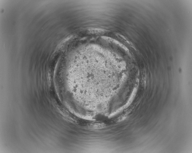 X0000061740716200512302211