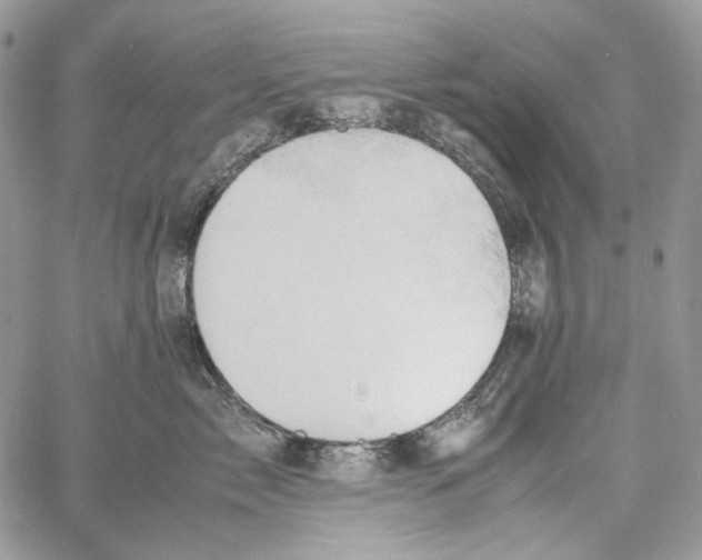 X0000061740717200512302211