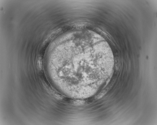 X0000061740718200512302211