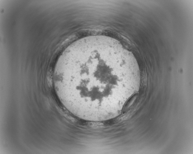 X0000061740719200512302211