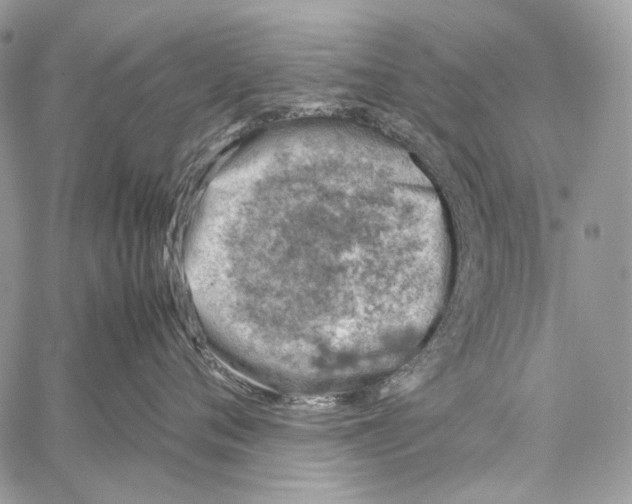 X0000061740720200512302211