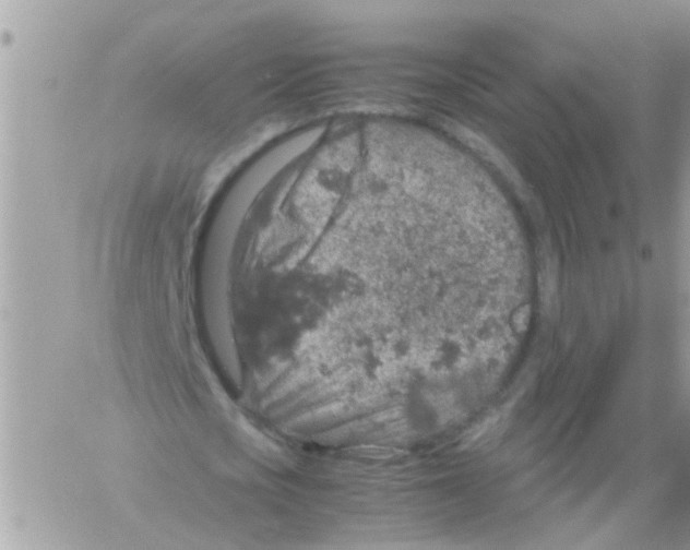 X0000061740721200512302211