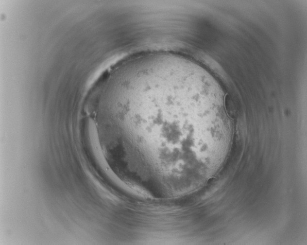 X0000061740722200512302211