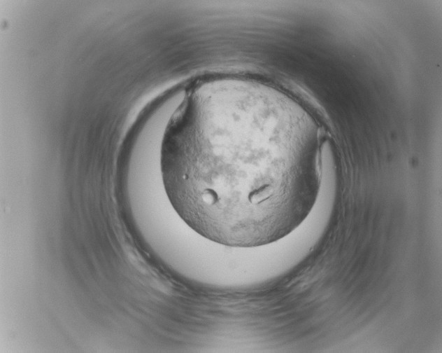 X0000061740724200512302211