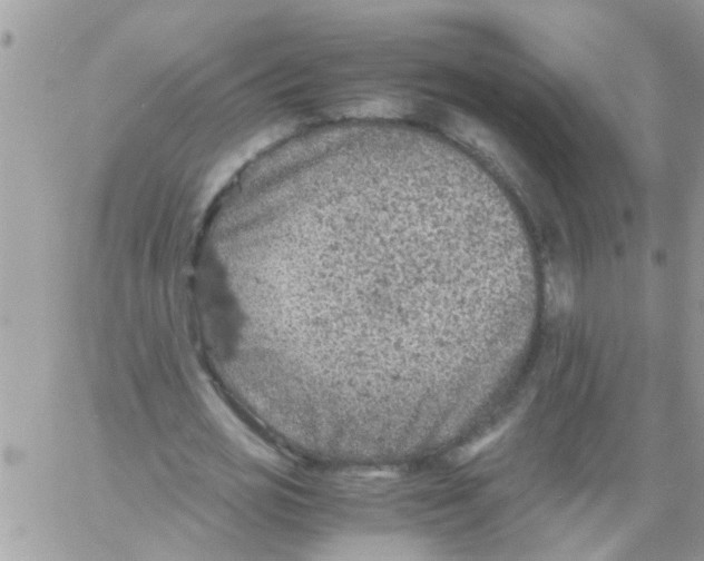 X0000061740725200512302211