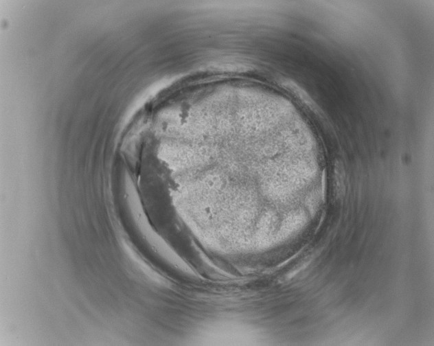 X0000061740726200512302211