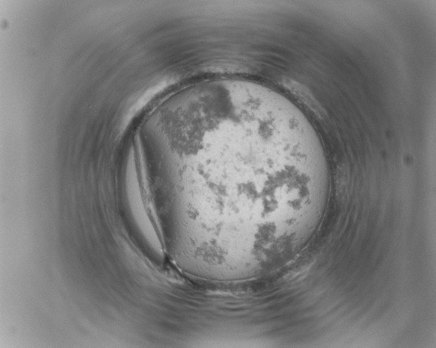 X0000061740727200512302211