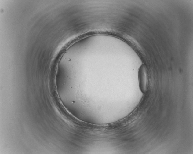 X0000061740728200512302211