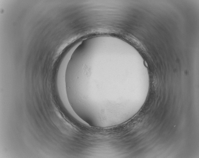 X0000061740732200512302211