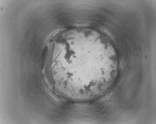 X0000061740733200512302211