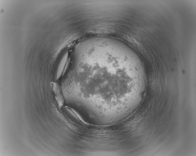 X0000061740735200512302211