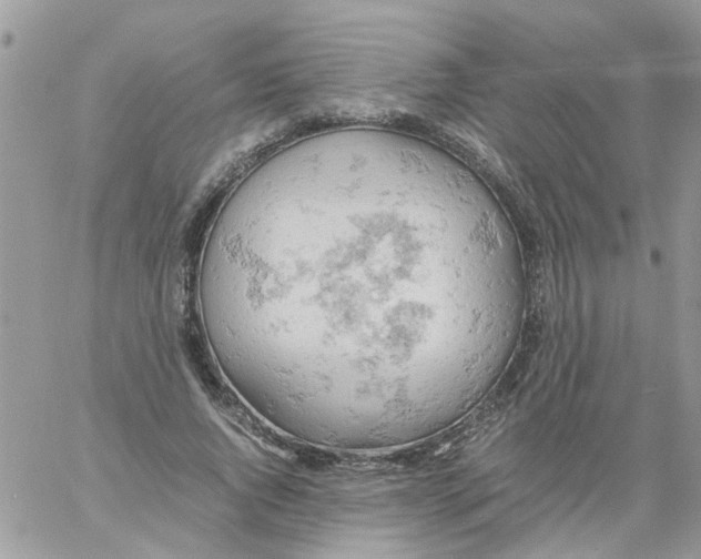 X0000061740736200512302211