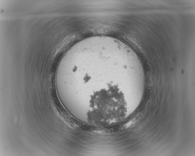 X0000061740738200512302211