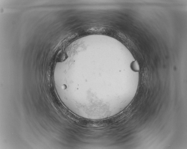 X0000061740739200512302211