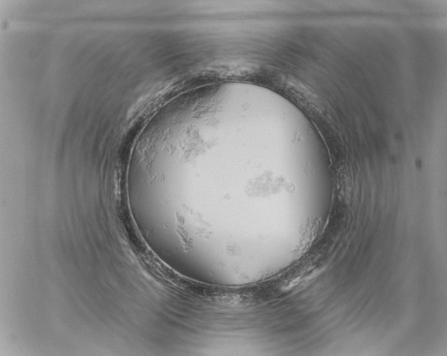 X0000061740740200512302211