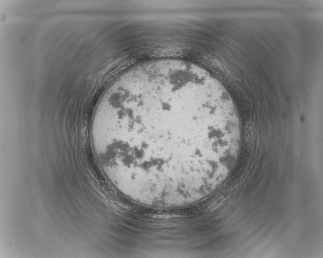 X0000061740741200512302211