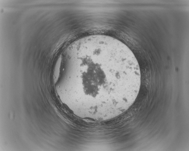 X0000061740742200512302211