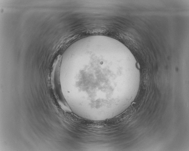 X0000061740743200512302211