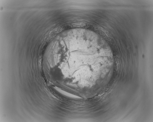 X0000061740745200512302211