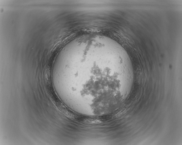 X0000061740747200512302211