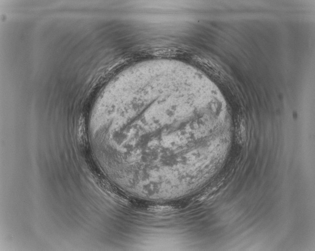 X0000061740748200512302211