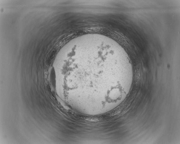 X0000061740749200512302211