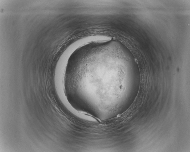 X0000061740751200512302211