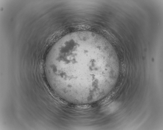 X0000061740757200512302211