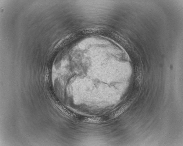 X0000061740758200512302211