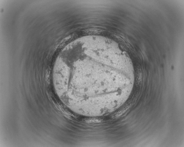 X0000061740759200512302211