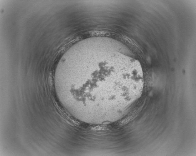 X0000061740761200512302211