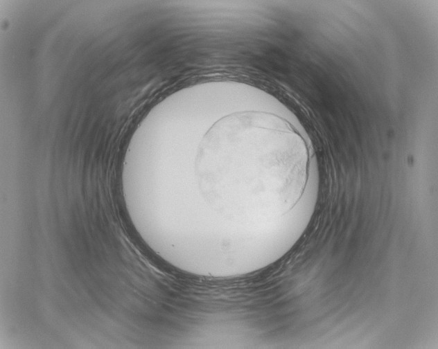 X0000061740764200512302211