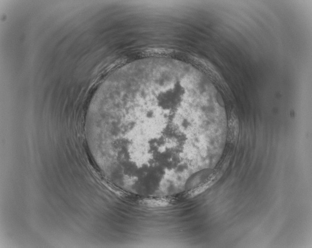 X0000061740765200512302211