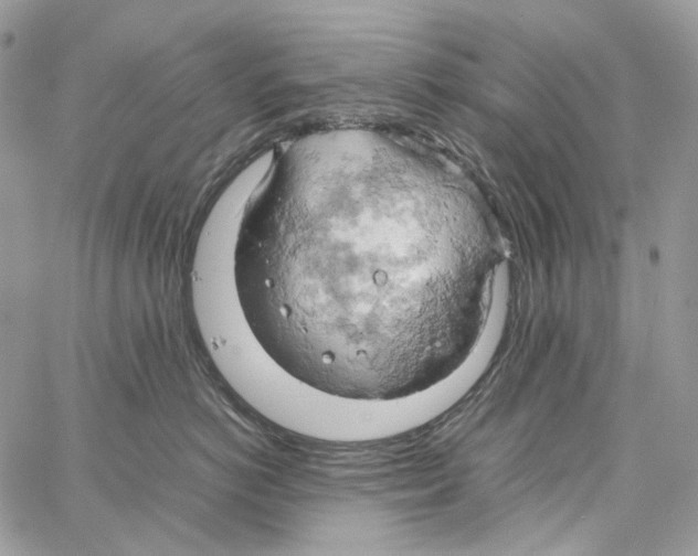 X0000061740766200512302211